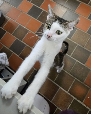 Lilli (nur mit Mia)