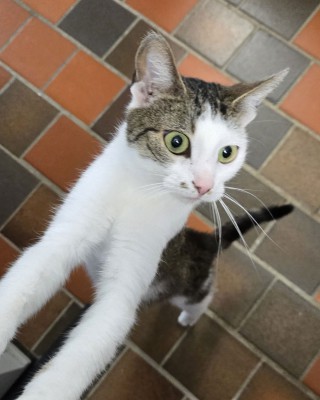 Lilli (nur mit Mia)