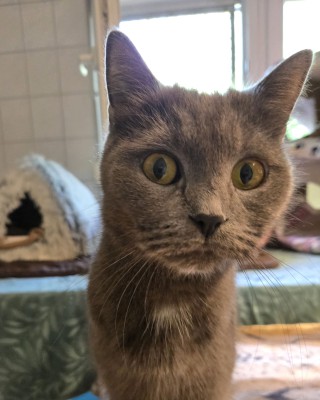 Lucy (nur mit Thomas)