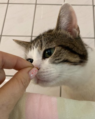 Lulu