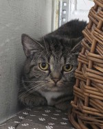 Malou (nur mit Minka) Malou (nur mit Minka)