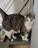 Max (nur mit Oskar) Max (nur mit Oskar)