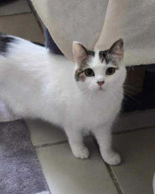 Minka (mit Balou)