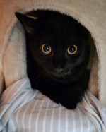 Nunu (nur mit Nala) Nunu (nur mit Nala)