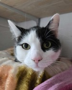 Oskar (nur mit Max) Oskar (nur mit Max)