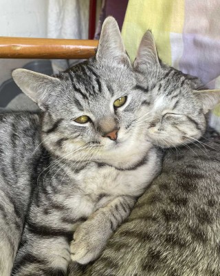 Paul (mit Peter)