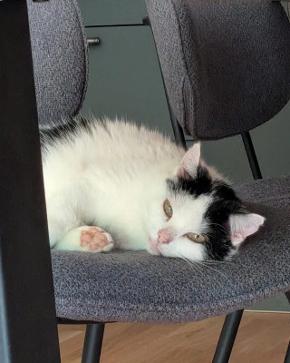 Rosie