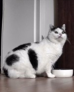 Rosie