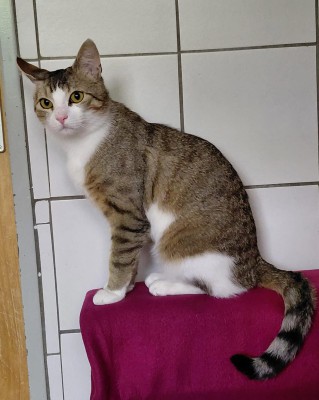 Tora (mit Coco)